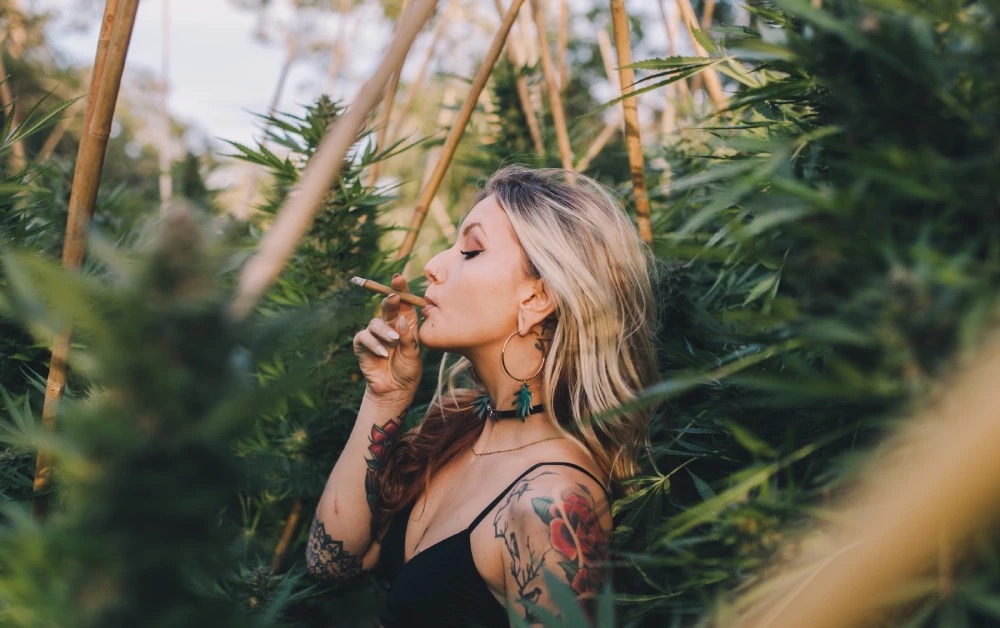 Everest Cannabis customer