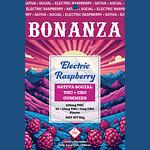 Electric Raspberry Social 10ct by Bonanza