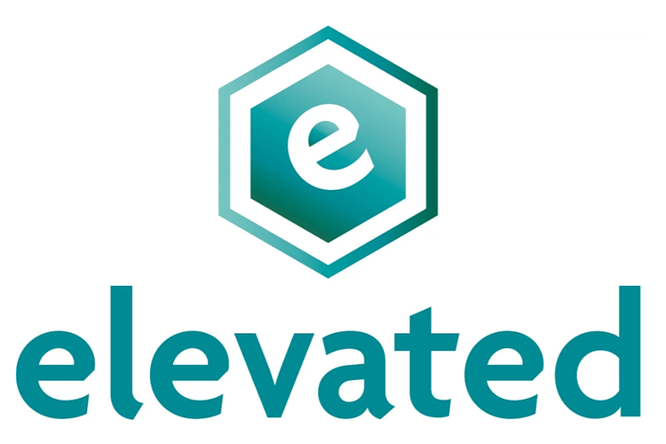 Mint Chocolate 10ct by Elevated