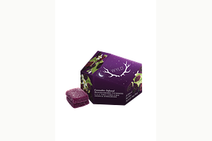 Boysenberry 1:1:1 100mg 10ct by Wyld