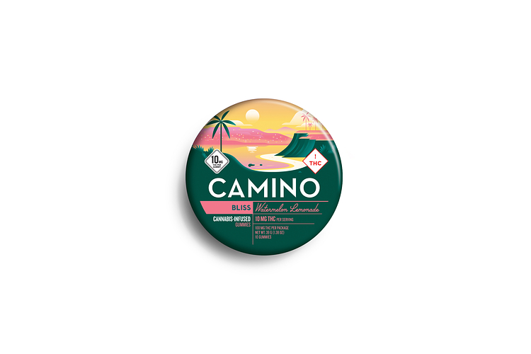 Watermelon Lemonade 10ct by Camino