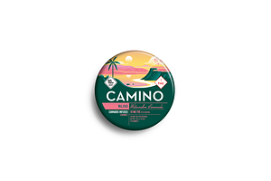 Watermelon Lemonade 10ct by Camino