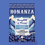 BerryZZZ n'Cream Sleep 10ct by Bonanza