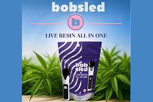 Live Resin AIO (I) 1000mg by Bobsled